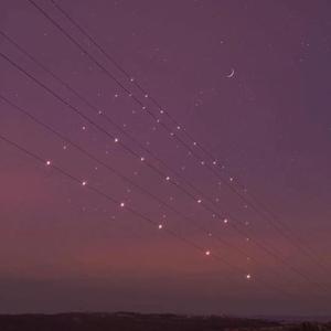 久久免费视频网站
